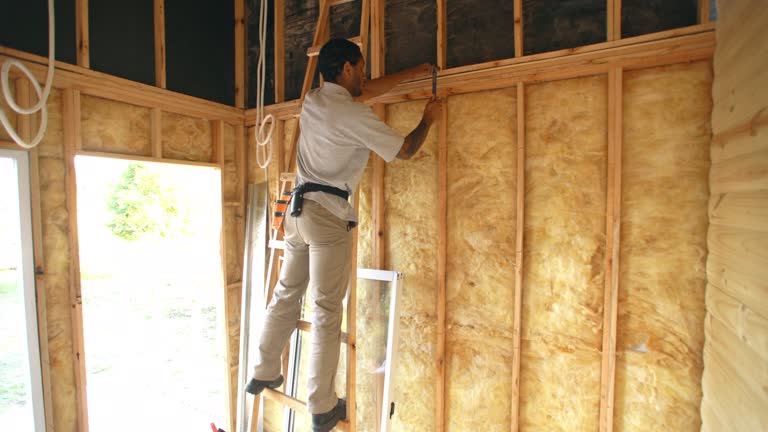 Best Wall Insulation Installation  in Fairfax Station, VA